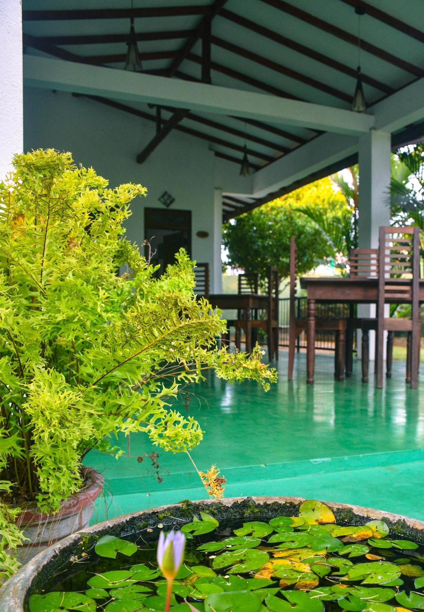 White Eagle Hotel Sigiriya Ngoại thất bức ảnh