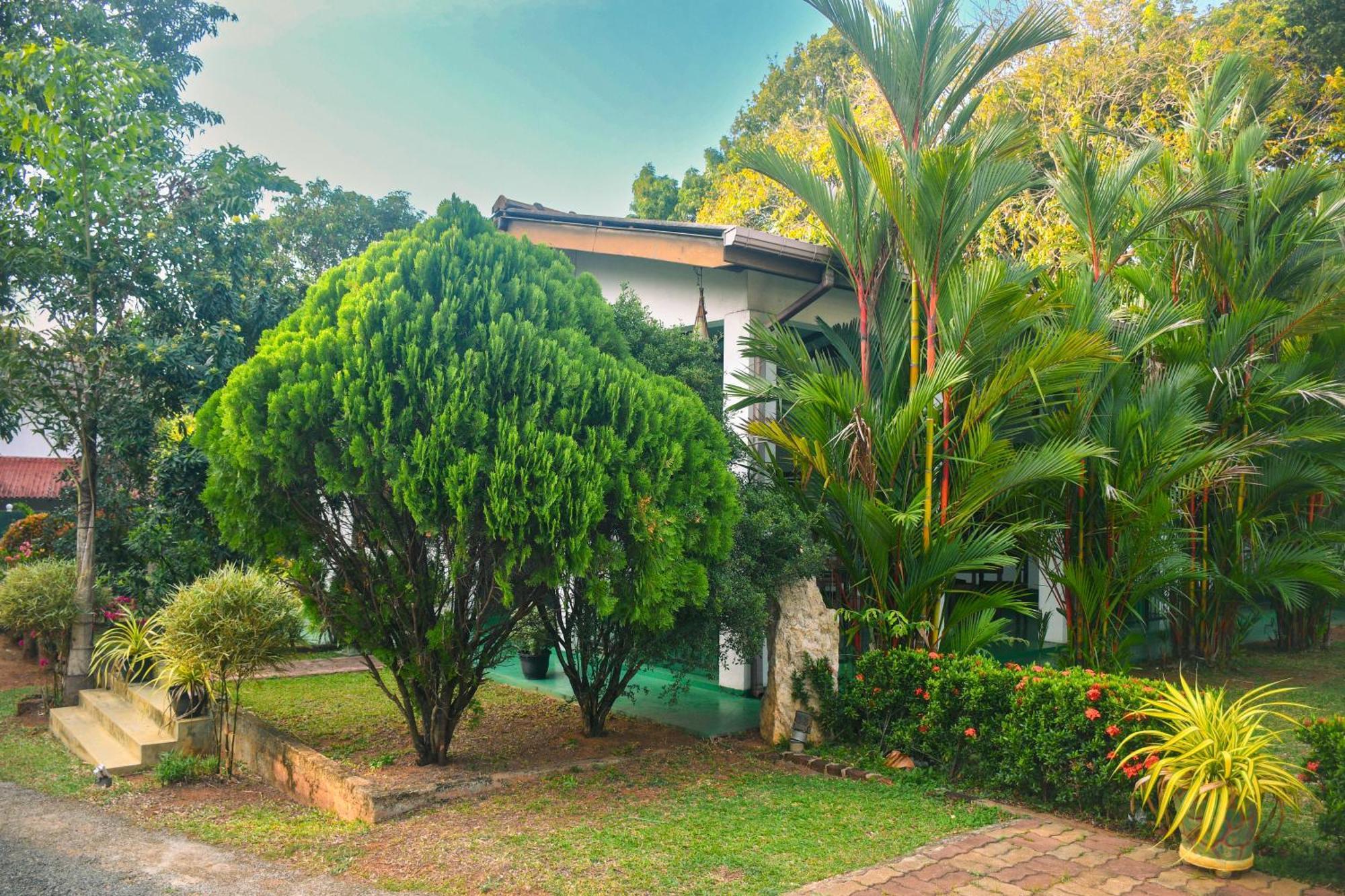 White Eagle Hotel Sigiriya Ngoại thất bức ảnh