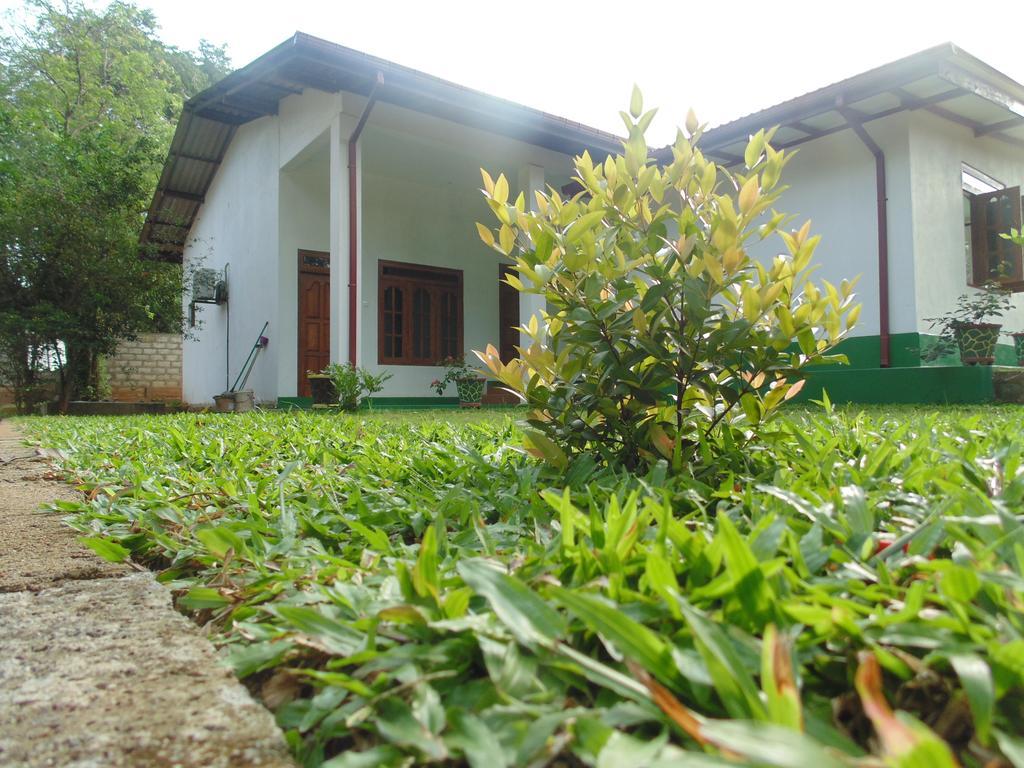 White Eagle Hotel Sigiriya Ngoại thất bức ảnh